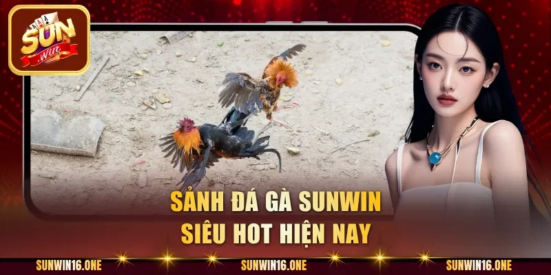 Sảnh đá gà Sunwin siêu hot hiện nay