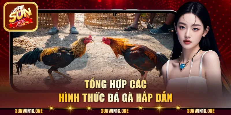 Tổng hợp các hình thức đá gà hấp dẫn
